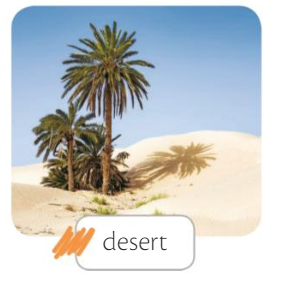 Desert.png