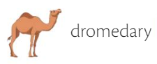 Dromedary.png