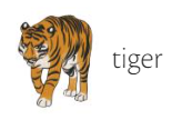 Tiger.png