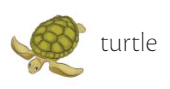 Turtle.png