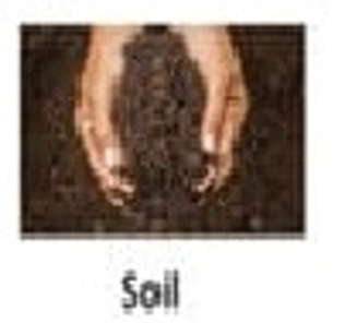 Soil.png